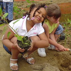 Maryland school children helping to restore a wetland by planting native wetland vegetation. Credit: USFWS